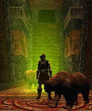 Bear Shaman performing Awakening