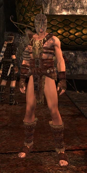 Barbarian - Level 20