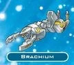 Brachium_Trap.jpg