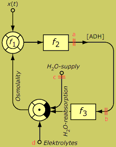 Image:osmoregulation.gif
