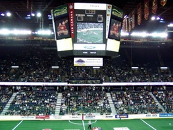 Saddledome Jumbotron during Calgary Roughnecks game