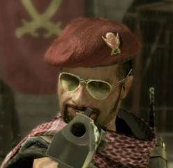 File:Al-Assad executing.jpg