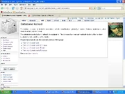 Wikia error (delete image after fix)