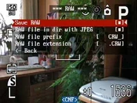 RAW menu