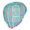 Image:EVA_FACEPLATE_SLYFO.jpg