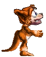 female Kanga Norn
