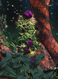 These large purple blossoms show that winter has settled in the Norngarden.