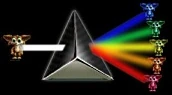 The Norn Spectrum