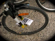 Critical Mass spokecard