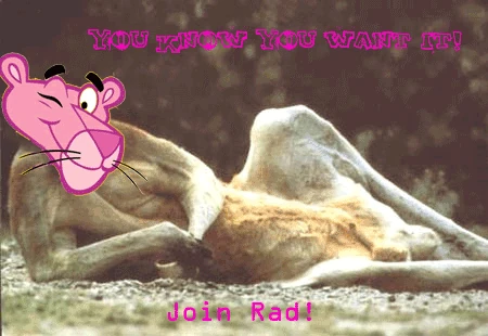 Image:Radroo.gif