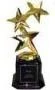 Image:Goldenstarstrophy.jpg