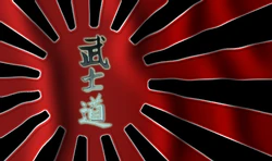 Bushido Official Flag