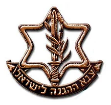 afbeelding:Idf logo4.jpg