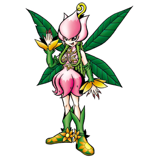http://images3.wikia.nocookie.net/digimonuniverse/pl/images/e/ee/Lillymon_b.jpg