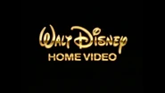 Wdhv 1991