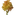 Ahorn