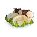 Royal Coco Bloopts