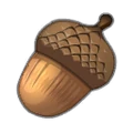 Acorn