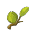 Treechnid Bud