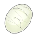 Silkworm Cocoon