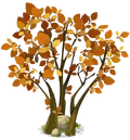 Hazel