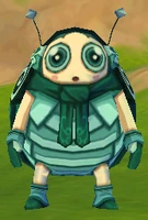Forest Ladybug