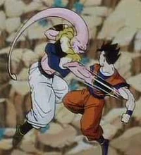 Super Buu w/Gotenks and Piccolo vs Gohan