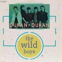 "The Wild Boys" cover