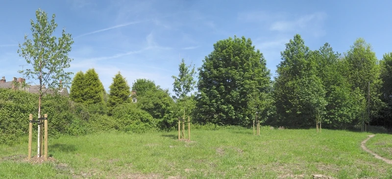 Land off St. Marys Lane, Ecclesfield