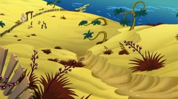 The Planet's surface