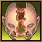 Spell Icon