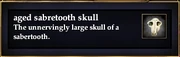 Aged sabretooth skull