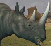 Race: Rhinoceros - to upload a more specific image, click here