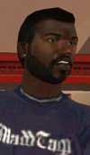 Completar gta san andreas al 100% Completar gta san andreas al 100%