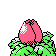 Imagen posterior de Ivysaur en la segunda generación