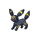 Imagen de Umbreon macho o hembra en Pokémon Diamante y Perla