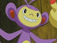 Ambipom de Dawn/Maya
