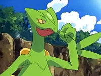 Sceptile de Ash