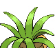 Exeggutor