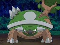 Torterra de Paul/Polo