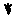Huella de Toxicroak