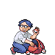 Imagen:Pokécolector DP.png