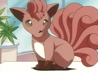 Vulpix de Brock