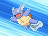 EP546_Wartortle_%282%29.png
