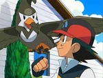 Ash con Satravia