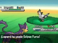 Golpes Furia N2B2