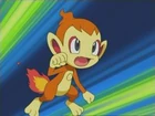 Chimchar de Paul/Polo