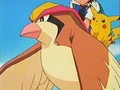 120px-EP083_Ash_y_Pikachu_montados_en_Pidgeot.png