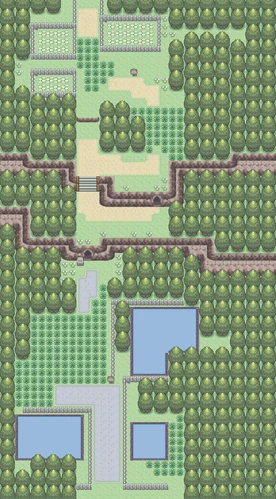 Mapa de la ruta 204