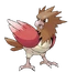 Spearow